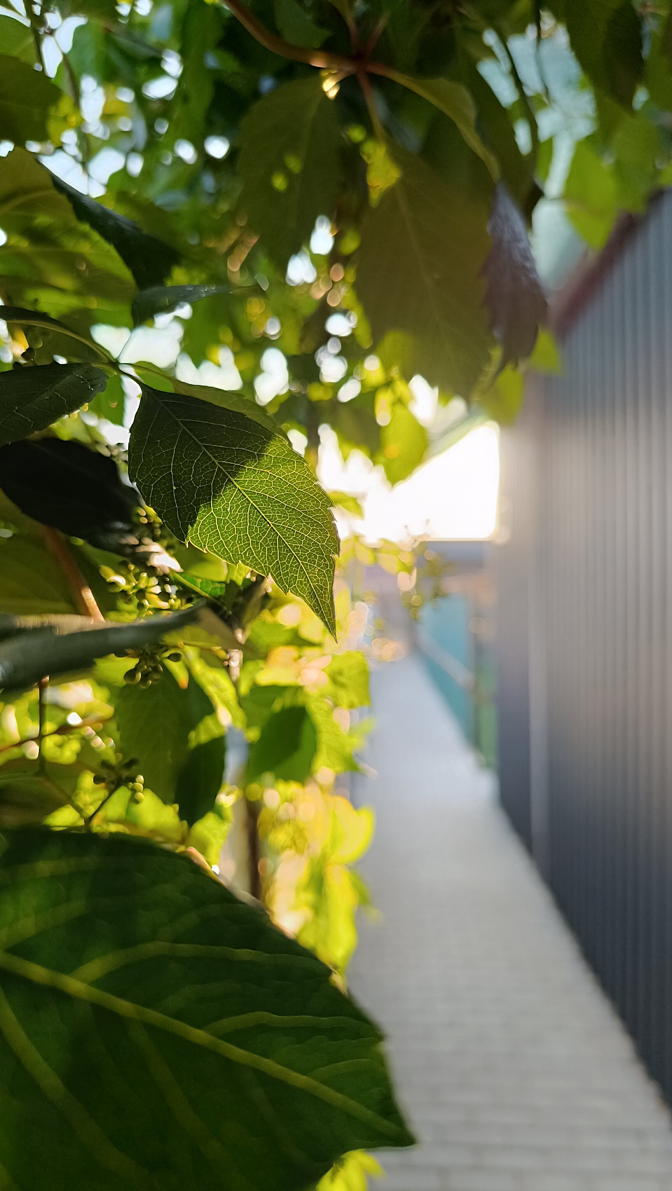 Фото Тихое место