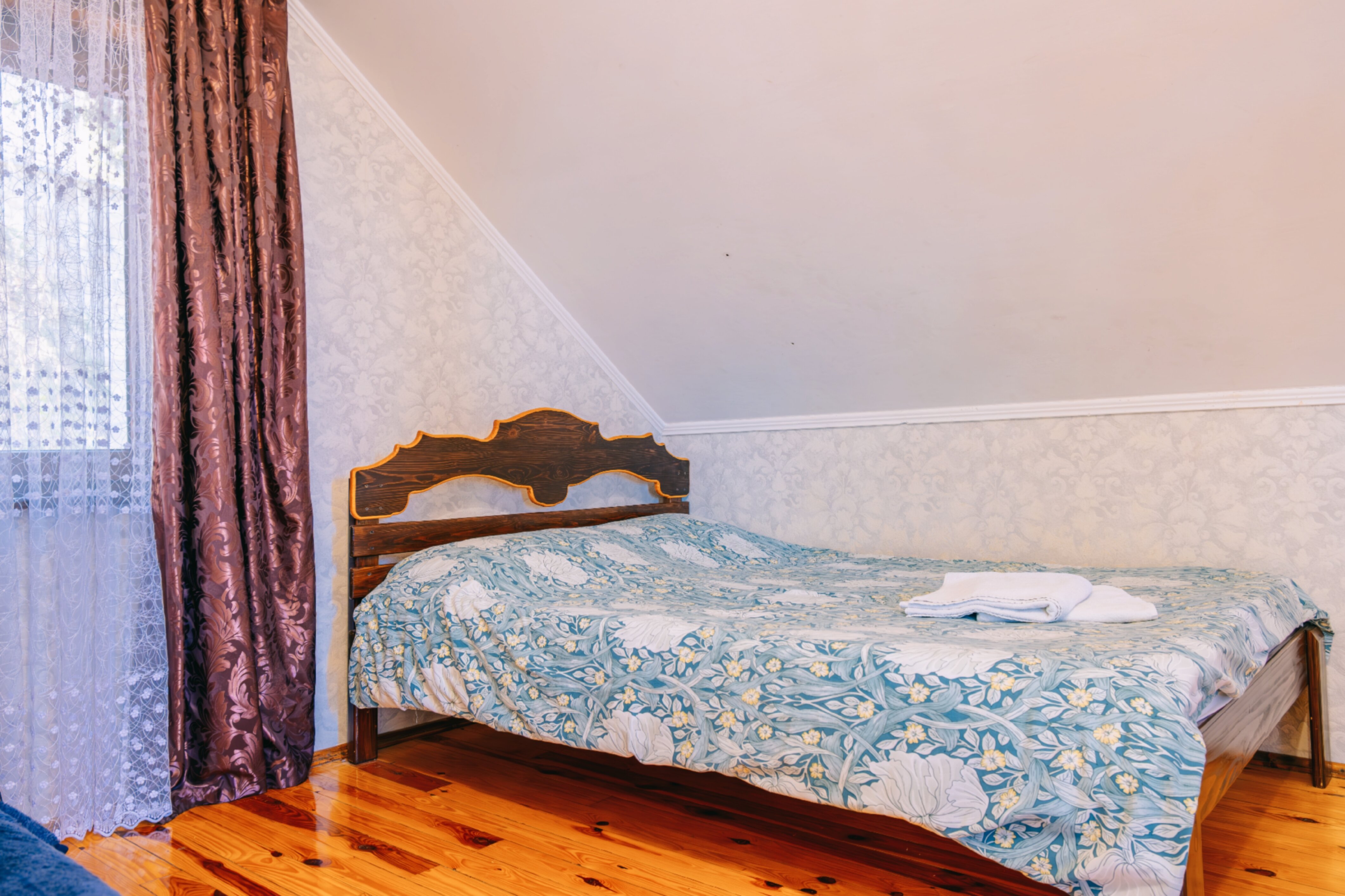 Фото Кипарис