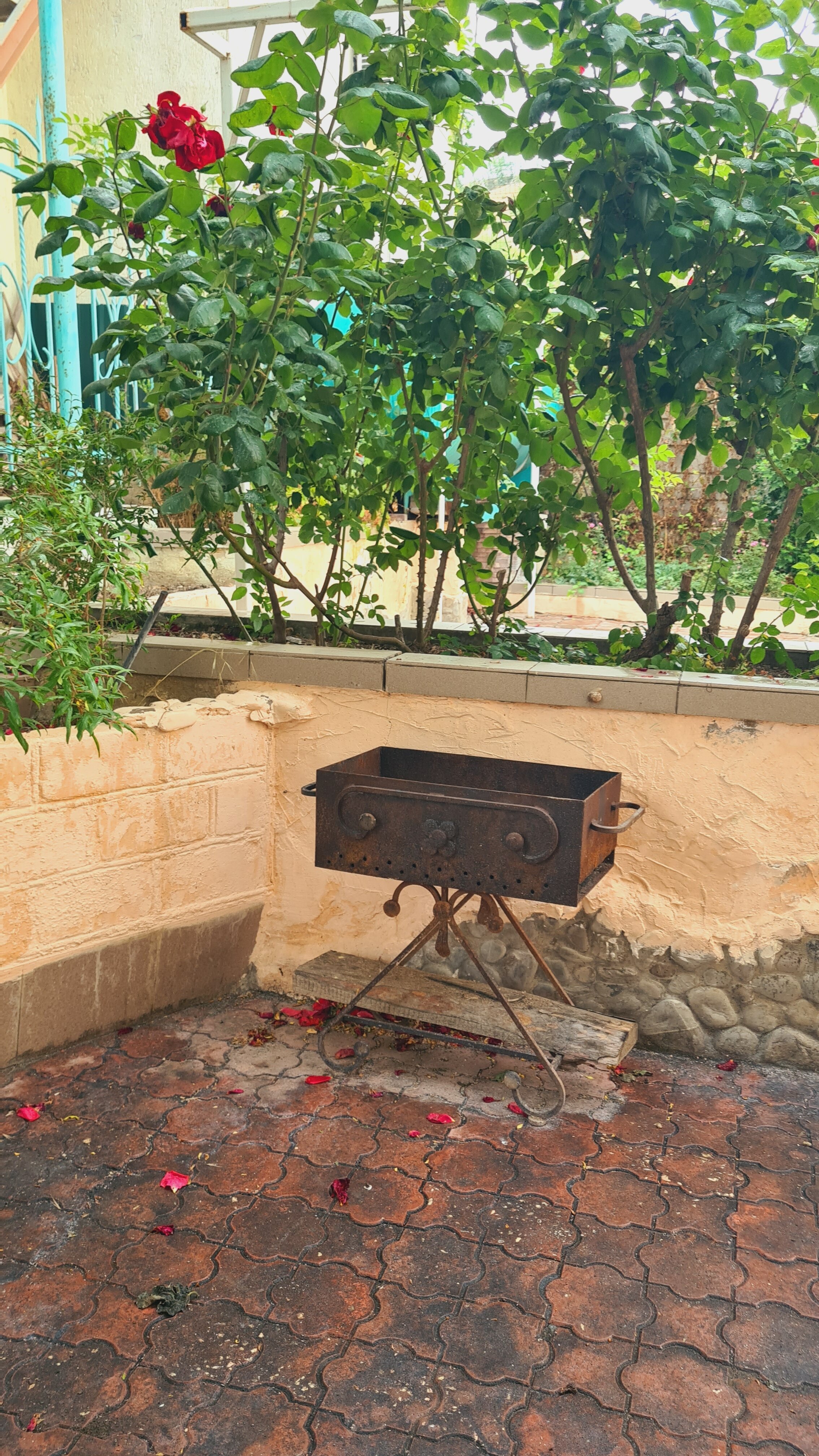 Фото Первая Линия