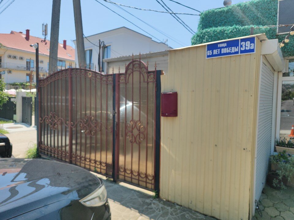 Фото Кипарис