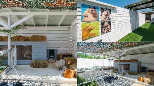 Апартаменты Gp Alicekeys в Сочи