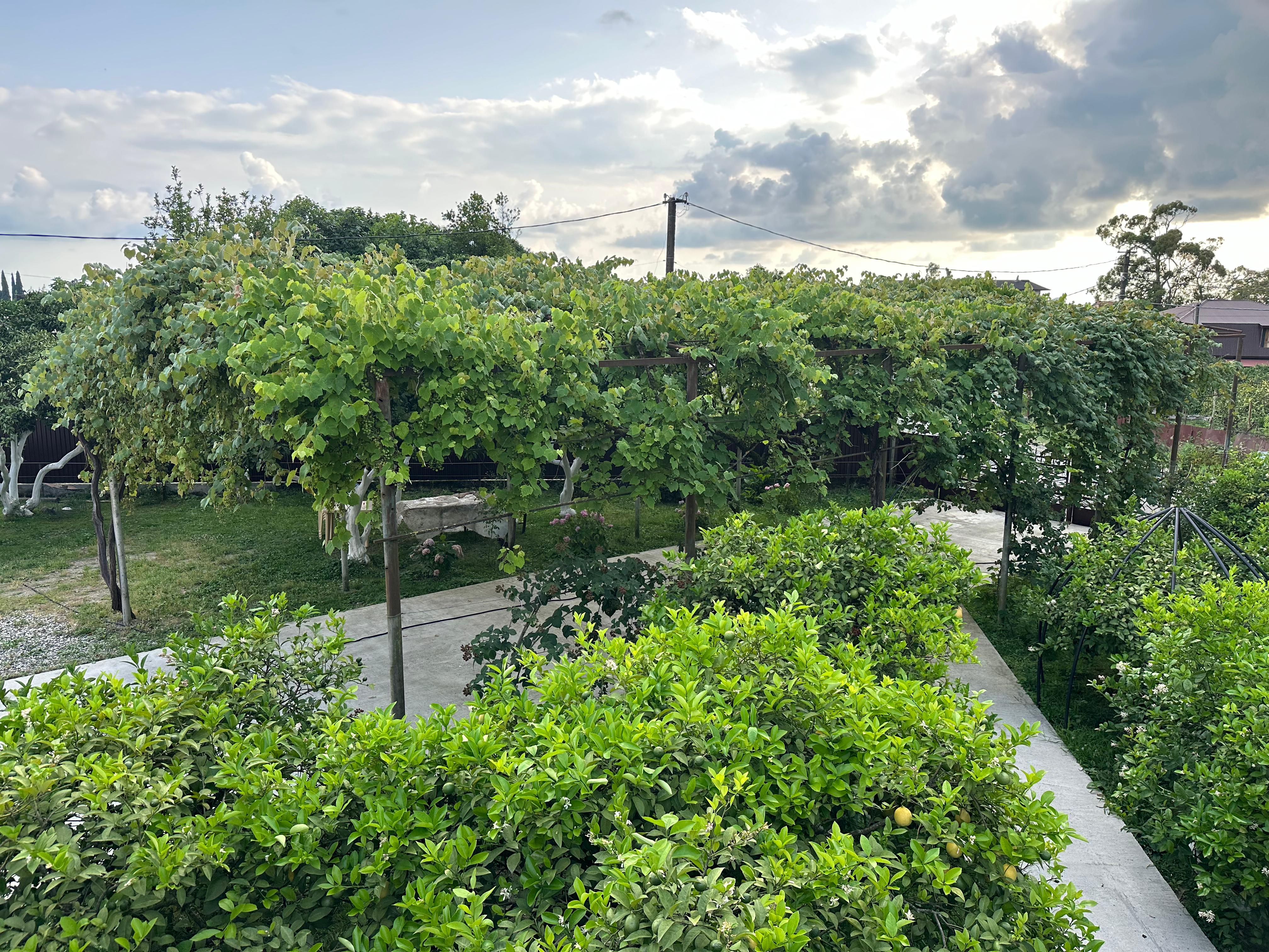 Фото Kashtak_home