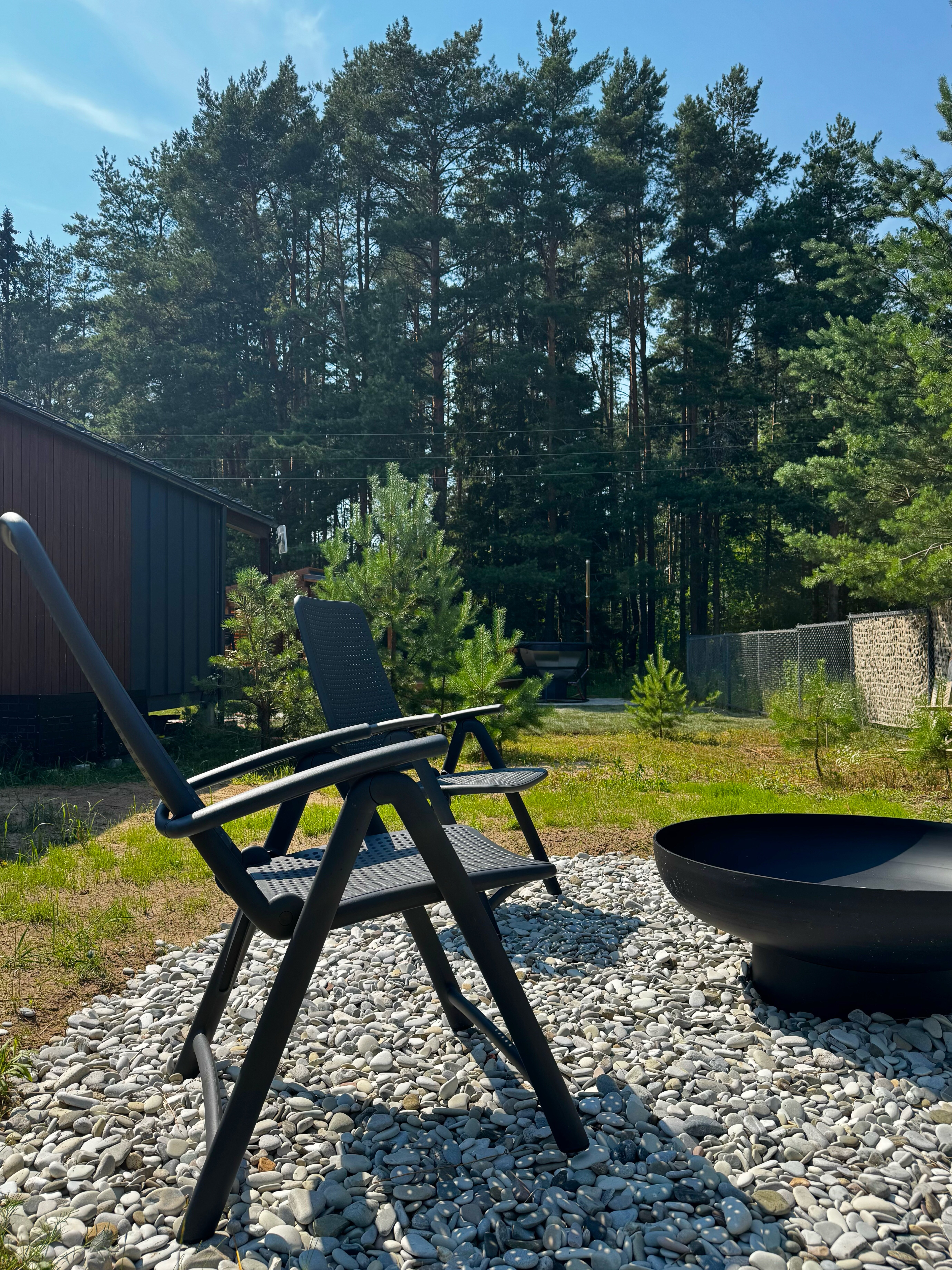 Фото Листья