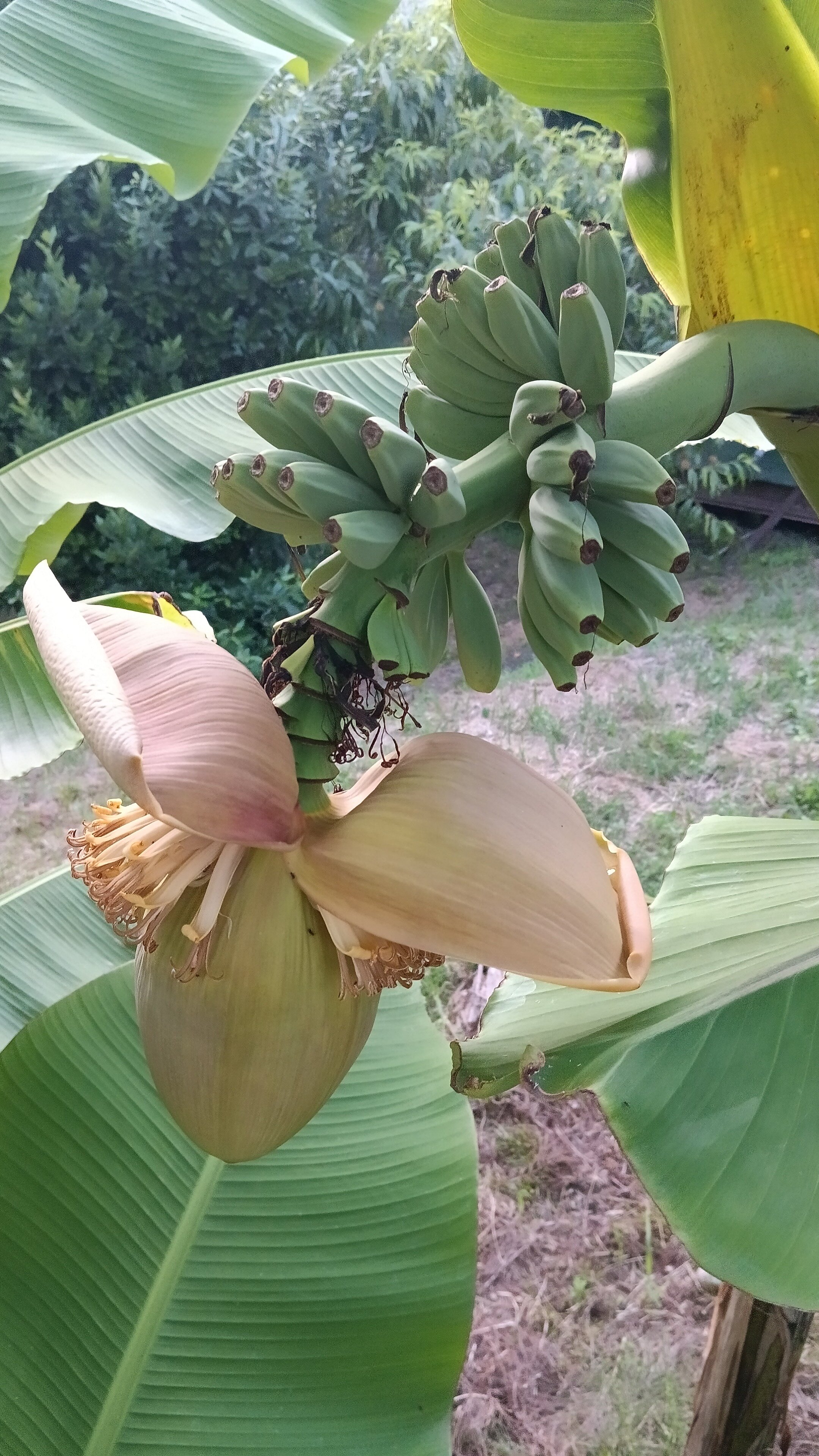 Фото ЮгАделия