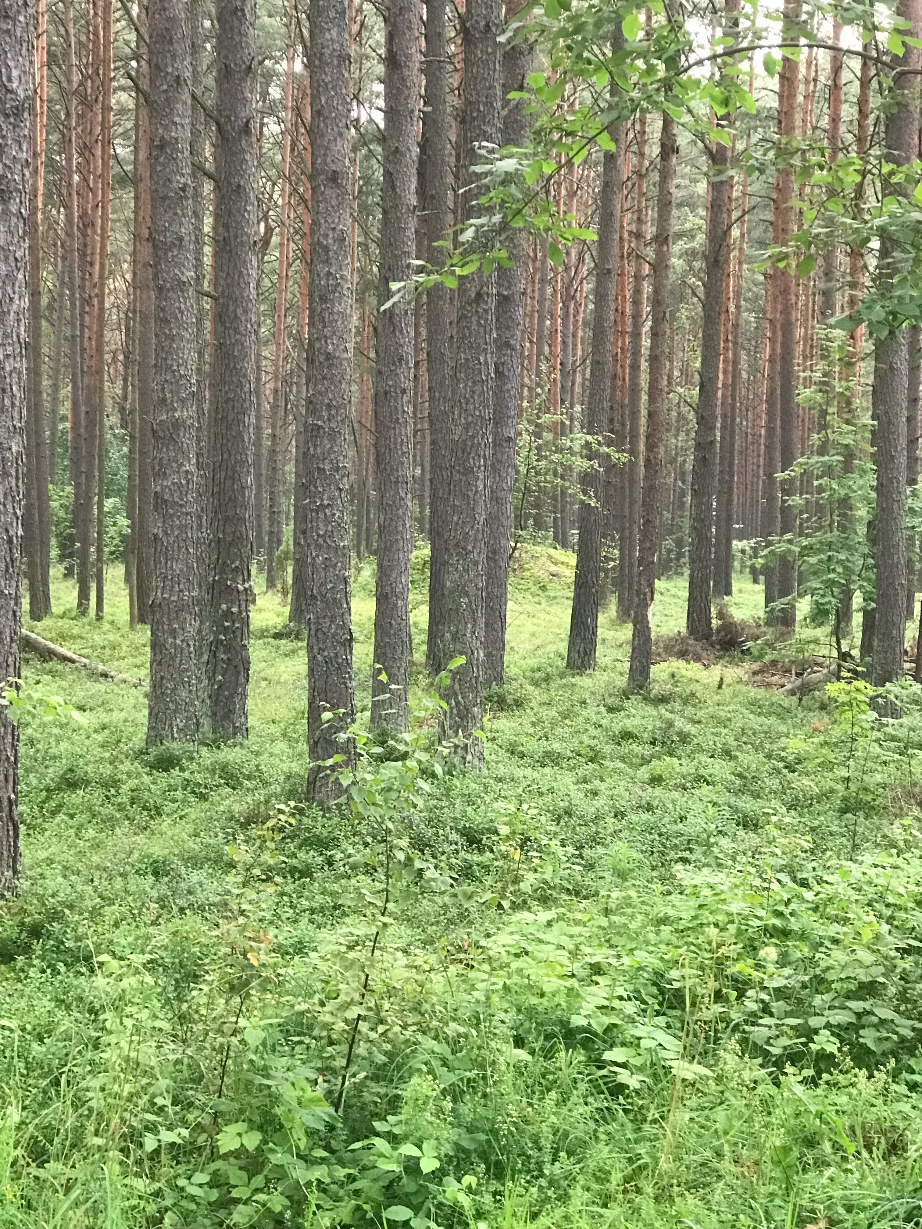 Фото Озерная