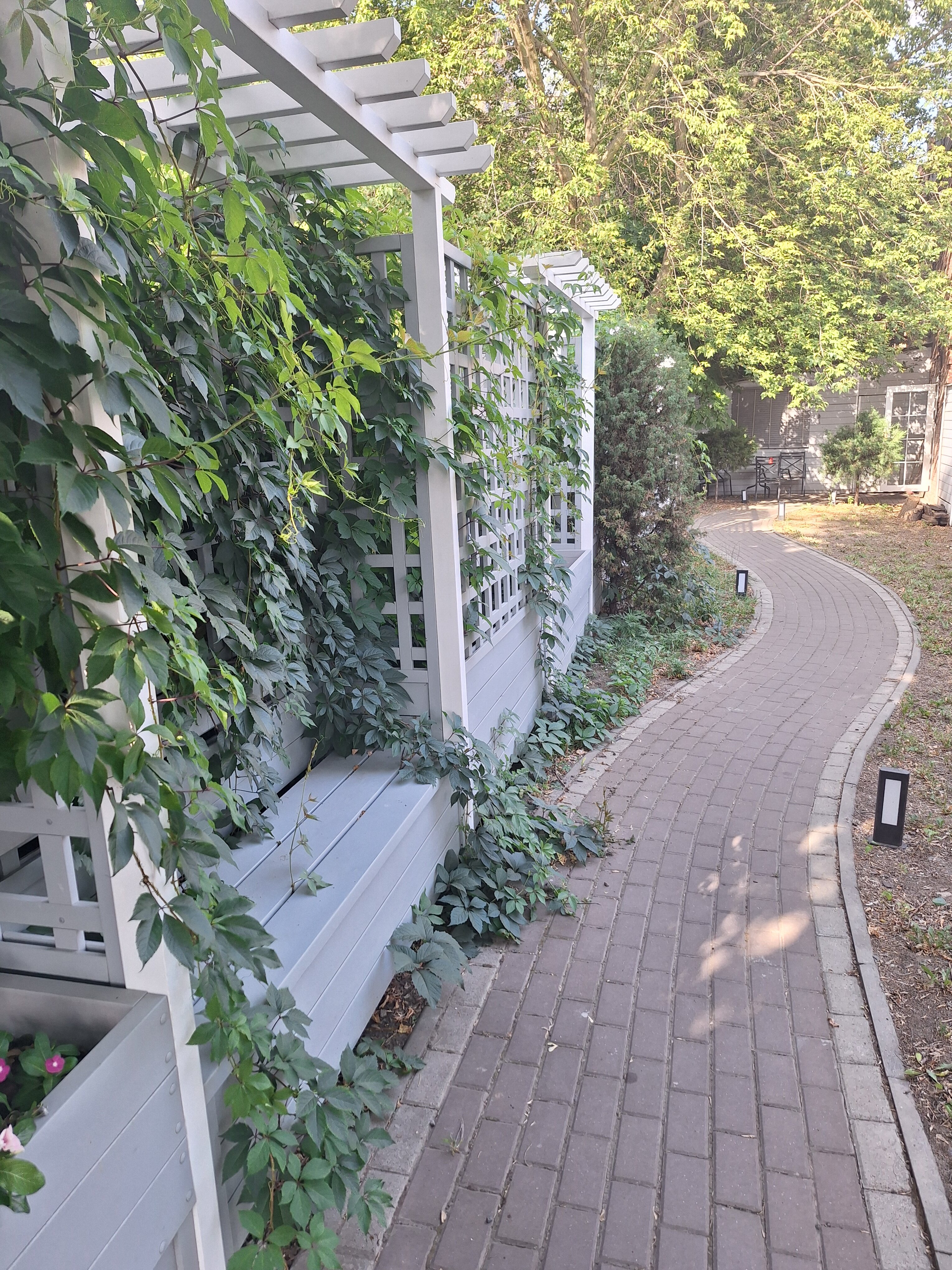 Фото Панфилов