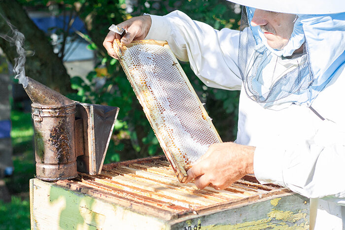 Honey and beekeeping Мёд и продукты пчеловодства, Tula, photo