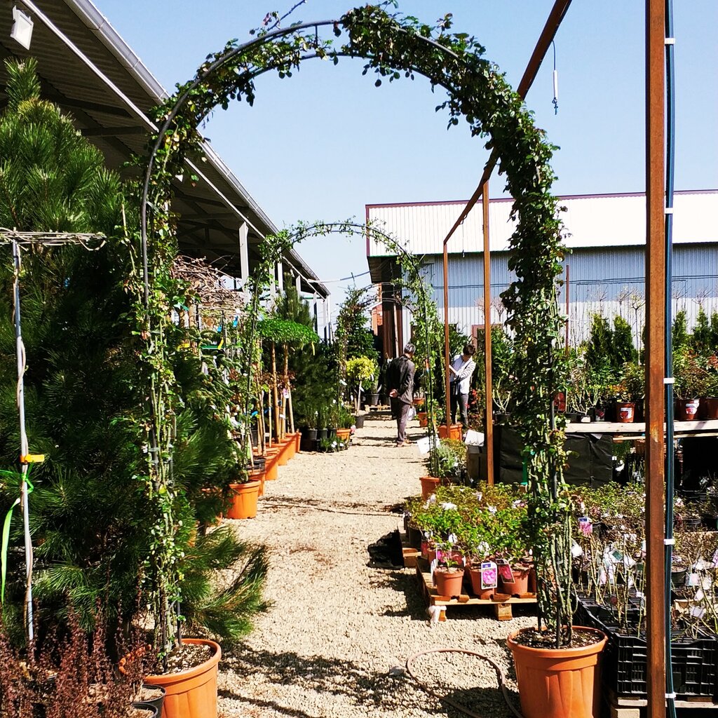 Магазин Лето На Дзержинского Краснодар Телефон