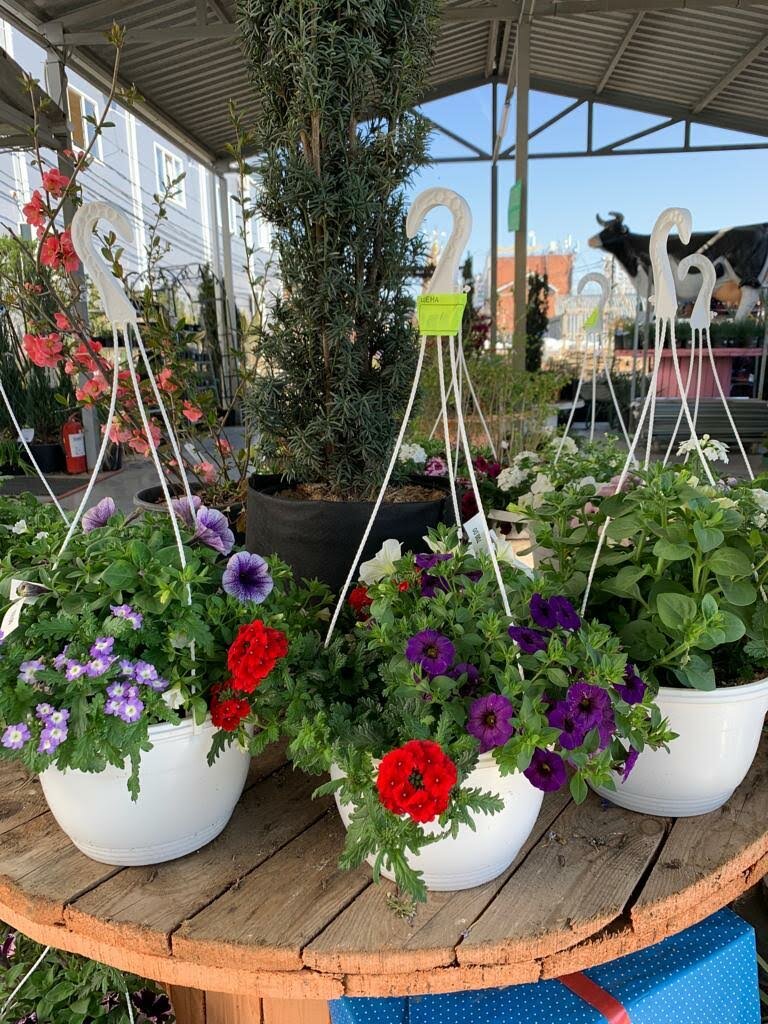 Магазин Лето На Дзержинского Краснодар Телефон