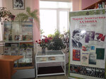 Моряковская им. М. Л. Халфиной (selo Moryakovskiy Zaton, Sovetskaya ulitsa, 27), library