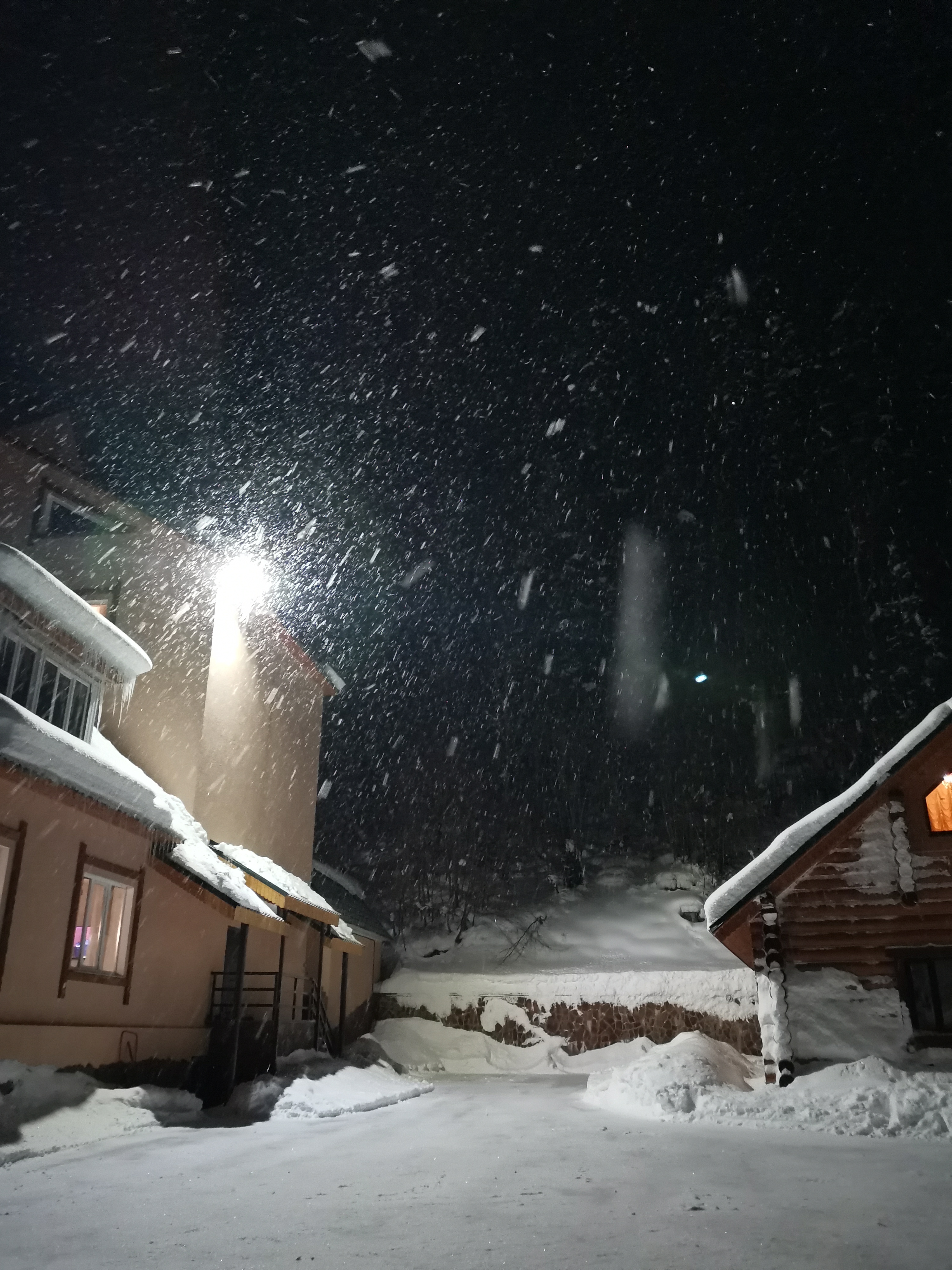 Фото Фор Рест