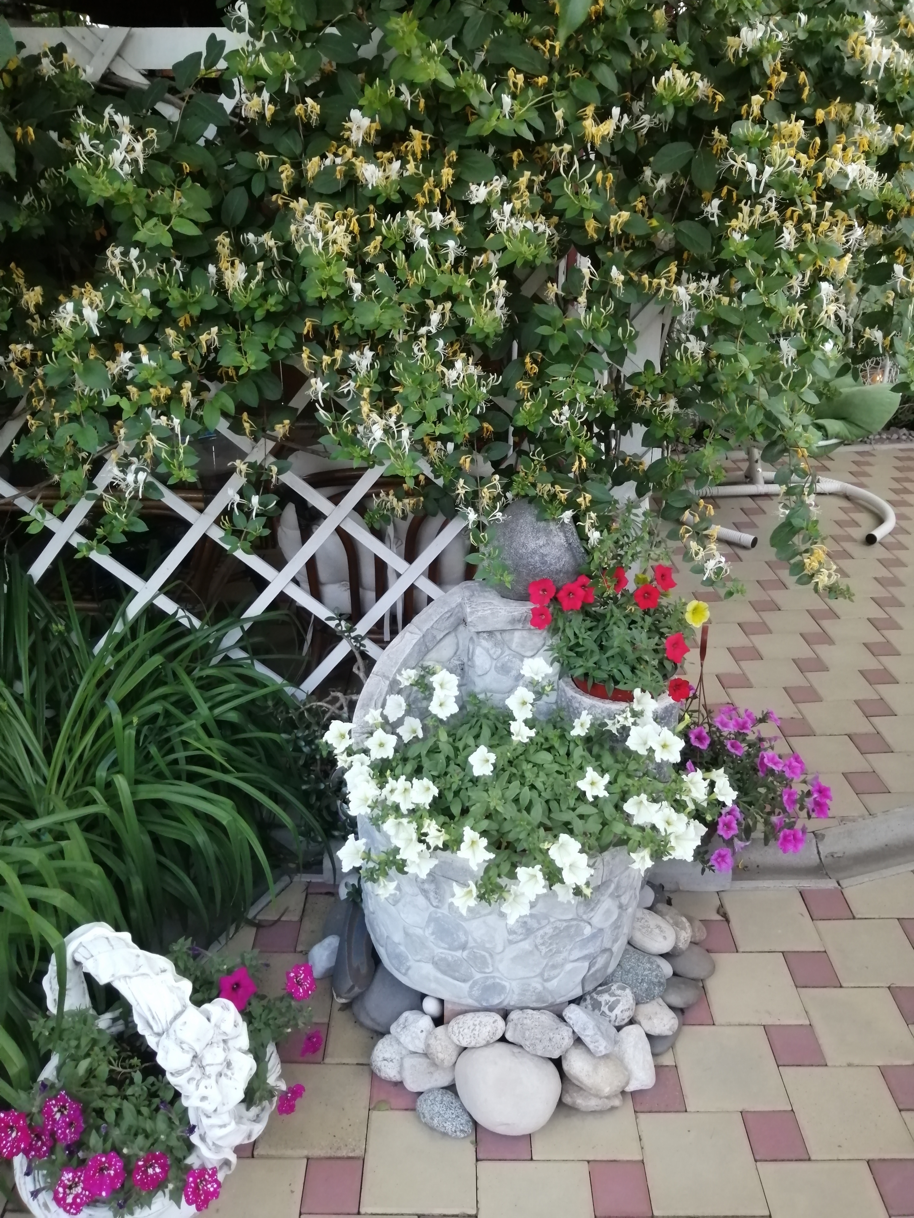 Фото Уютный дом