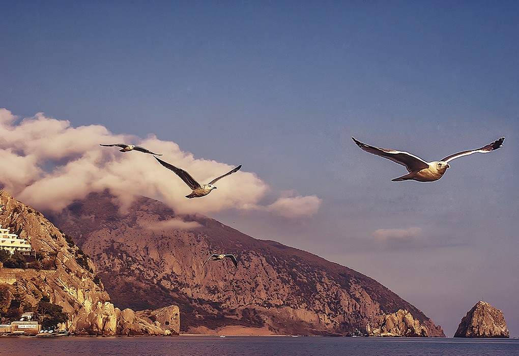 Фото Пушкино