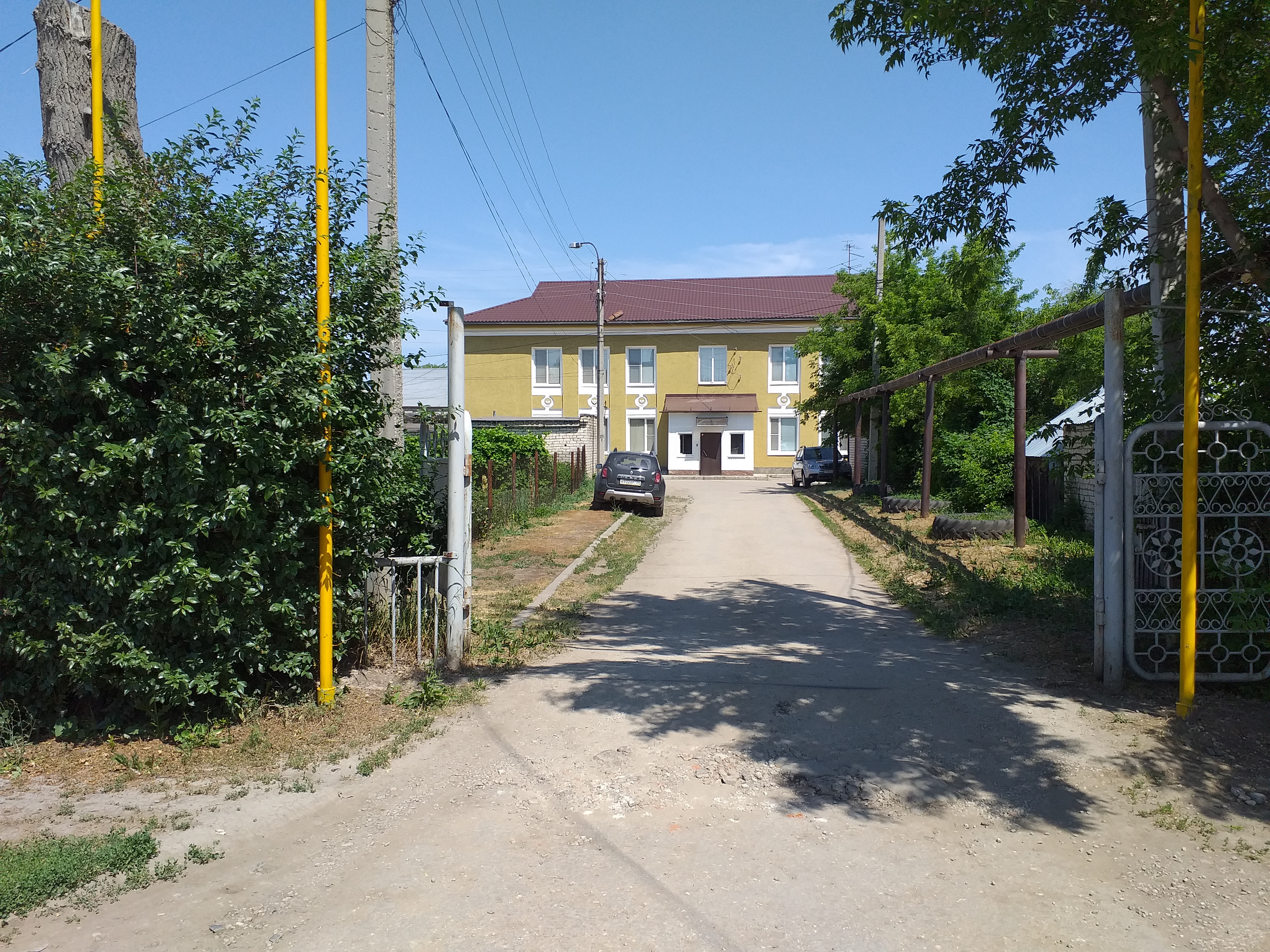 Фото Вереск