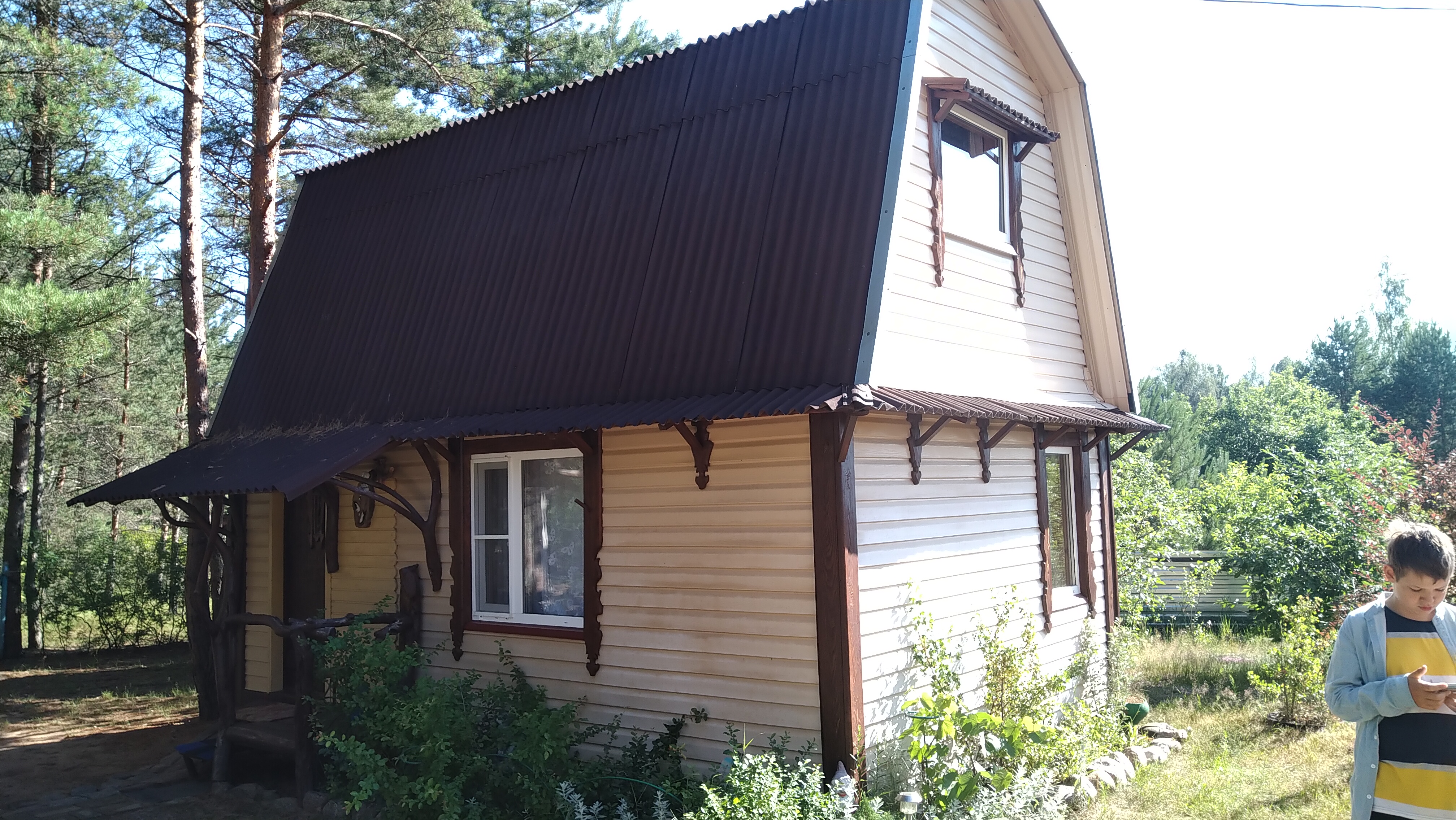 Фото Гнездо аиста