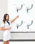 SunLook (Derbenevskaya Street, 1) ، مركز تعليمي