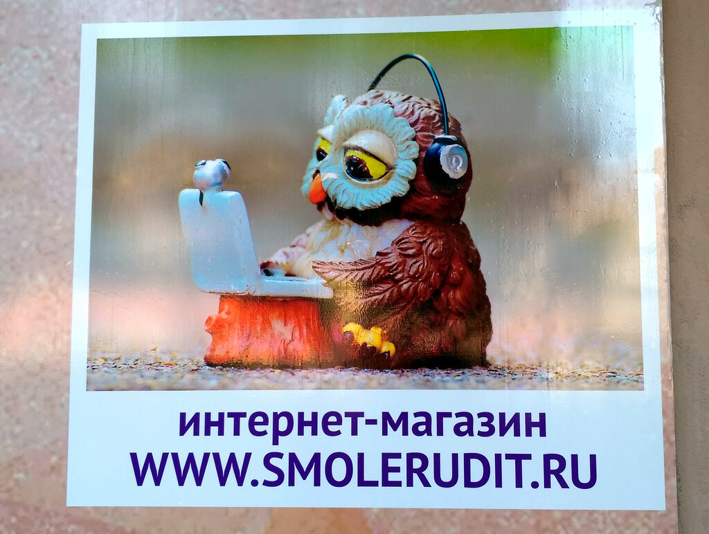 Магазин Эрудит Смоленск Официальный Сайт