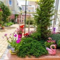 Фото Адмирал Нельсон