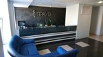 Prima audit (Ligovskiy Avenue, 150), audit company