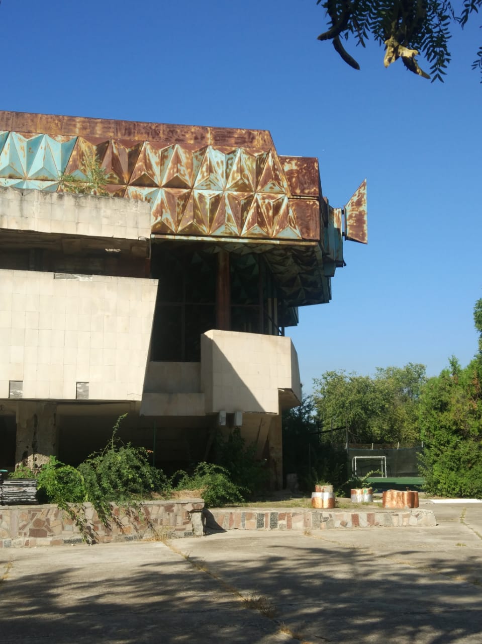 Фото Дружба