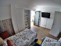 Фото Золотая рыбка