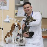 M-vetcentr (Dobrolyubova Street, 18), veterinary clinic