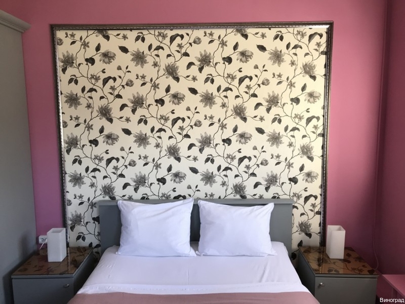 Фото Виноград