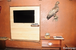 Фото Виноград