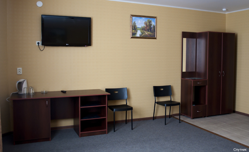 Фото Спутник