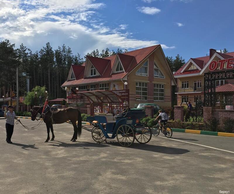 Фото Беркут