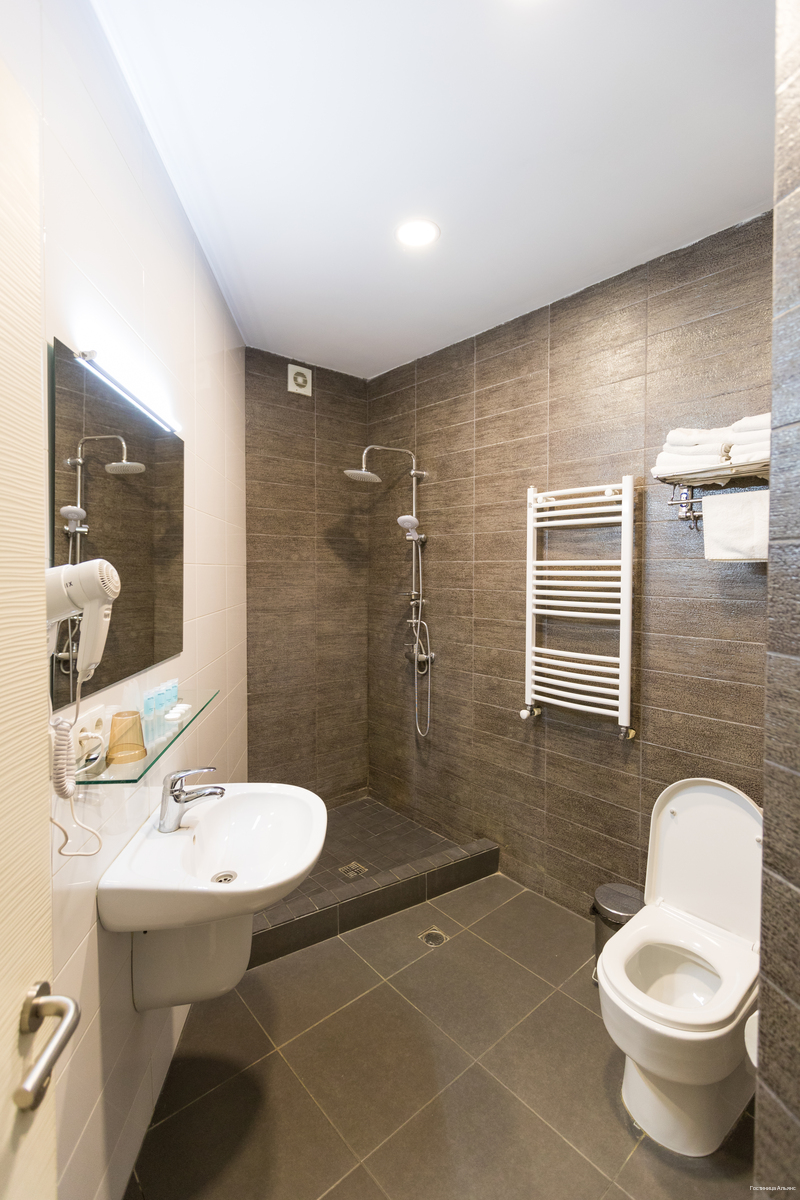 Фото Alliance Hotel