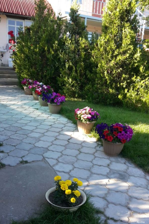 Фото Айвилла