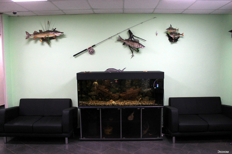 Фото Эконом