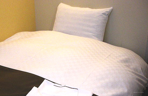 Фото Nagoya Fushimi Mont Blanc Hotel