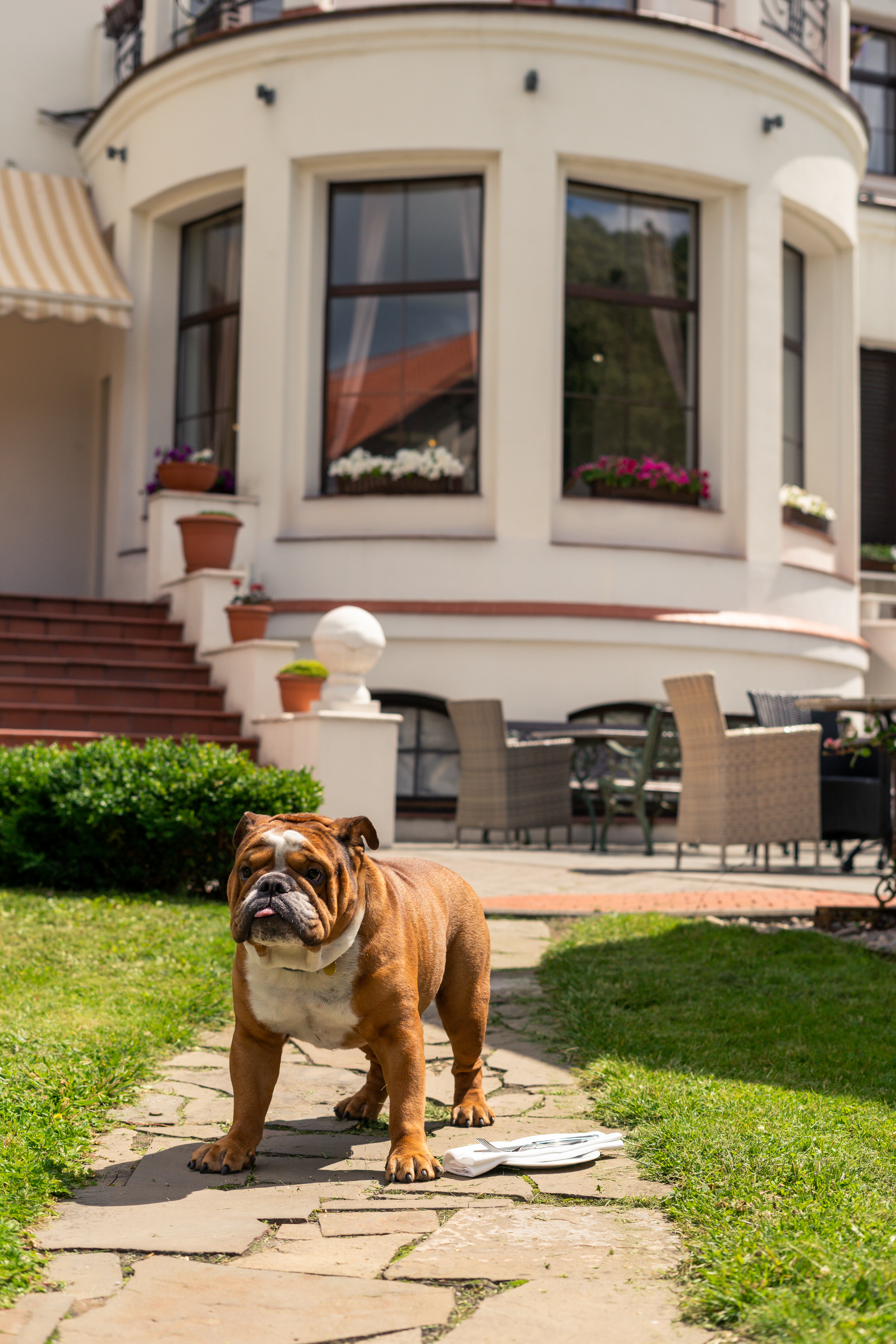 Фото Усадьба