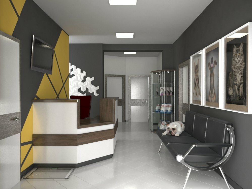 Veterinary clinic Talisman, Almaty, photo