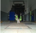 Rezina (Strelkovaya Street, 56А), car service, auto repair