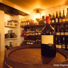 Фото Hotel Dagmar