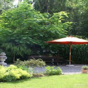 Фото The niu Sparrow