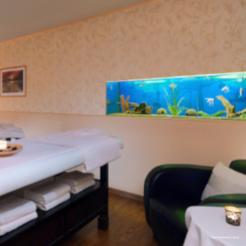 Фото Hotel Fuerstenhof Leipzig