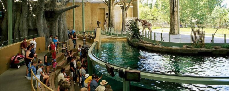 Фото Delta Calgary Downtown