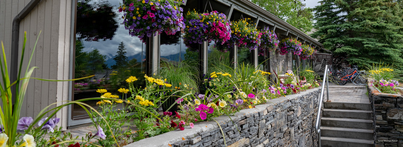 Фото Tunnel Mountain Resort