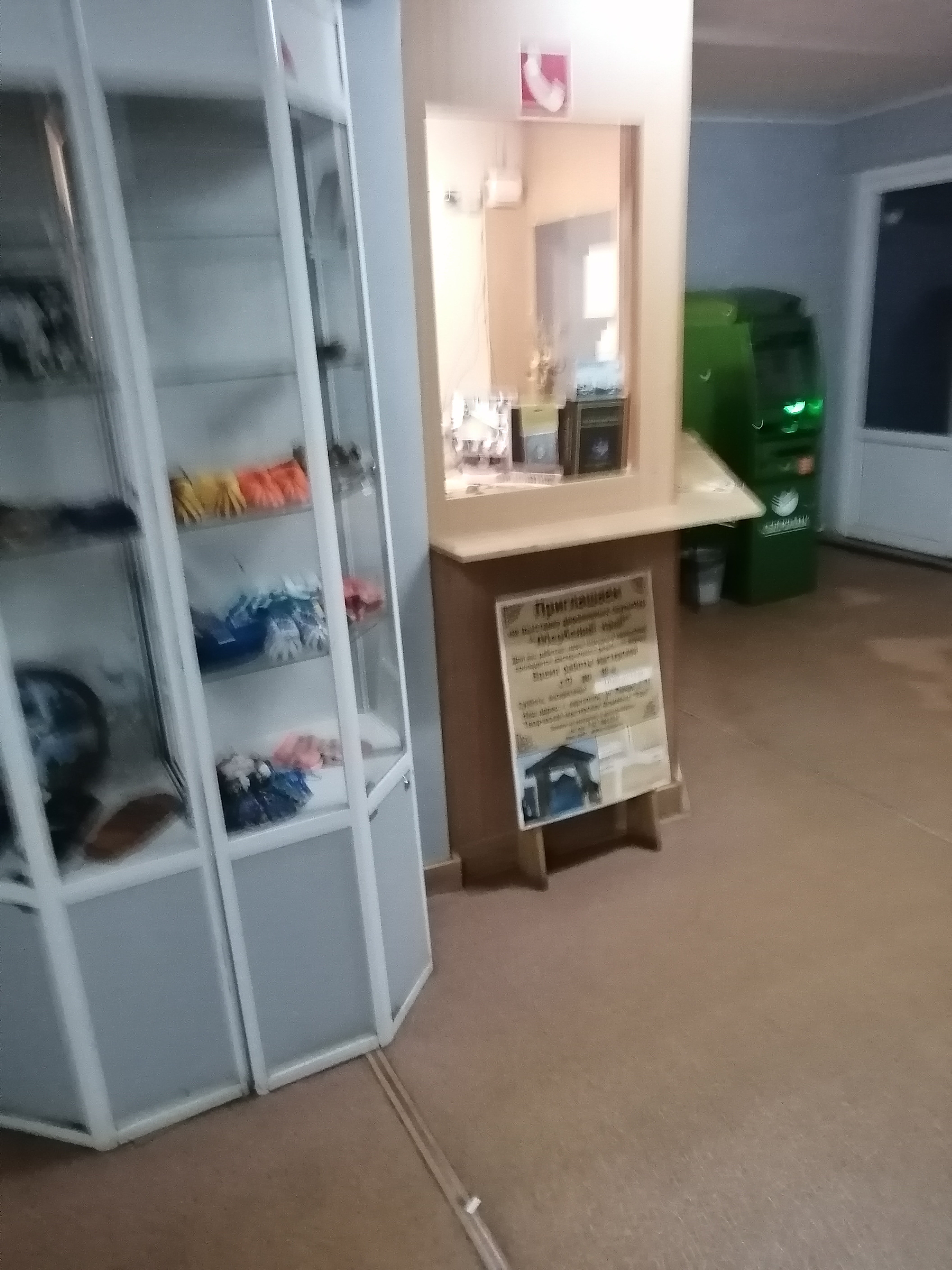 Фото Каргополочка