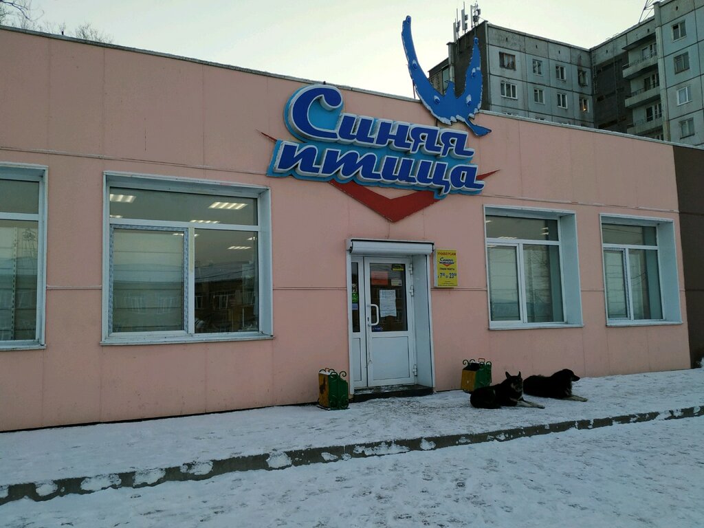 Синяя птица ул героев сибиряков 35 фото