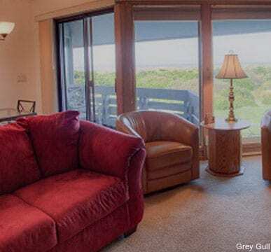 Фото The Grey Gull