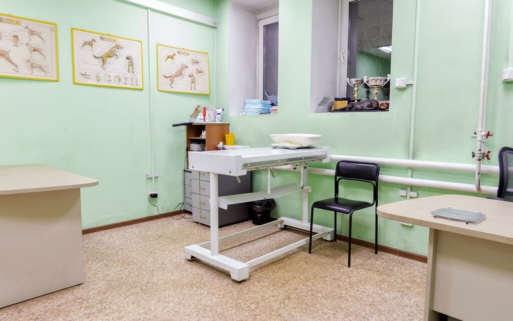 Ветеринарная клиника Байкалвет, Иркутск, фото