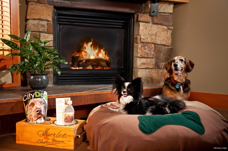 Фото Willows Lodge