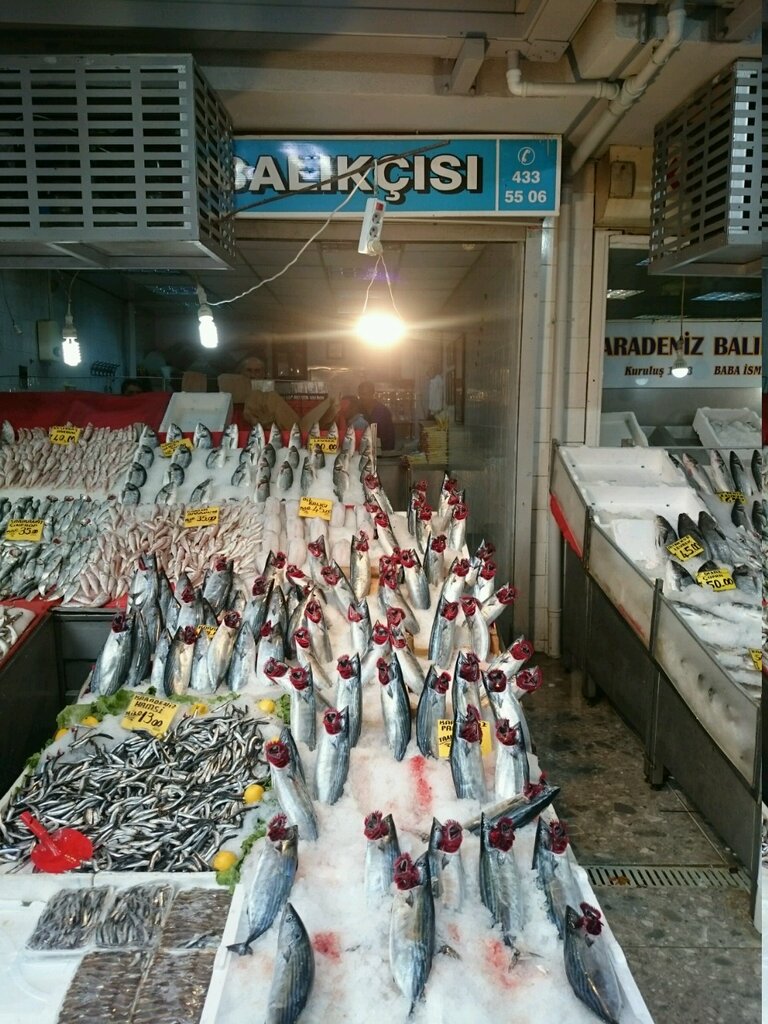 Рыба и морепродукты Trakya Balıkçısı, Анкара, фото