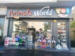 Animals World Pet Center (Adnan Kahveci Blv., No:107, Bahçelievler, İstanbul, Türkiye), petshop  Bahçelievler'den