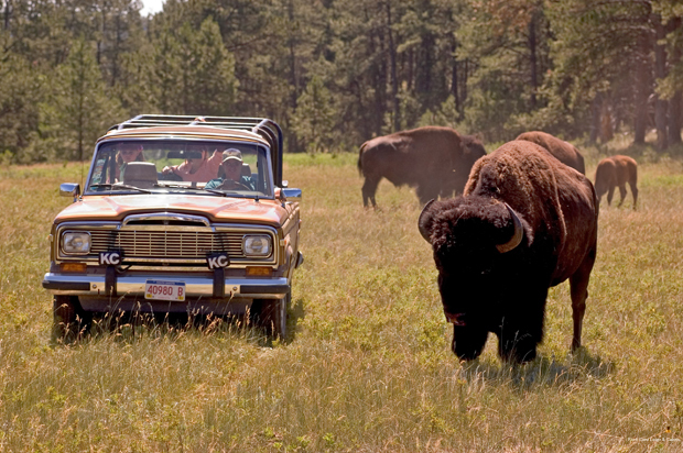 Фото Rock Crest Lodge And Cabins